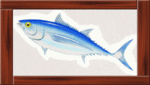 maguro.gif