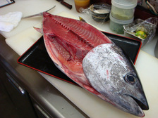 maguro_12.jpg